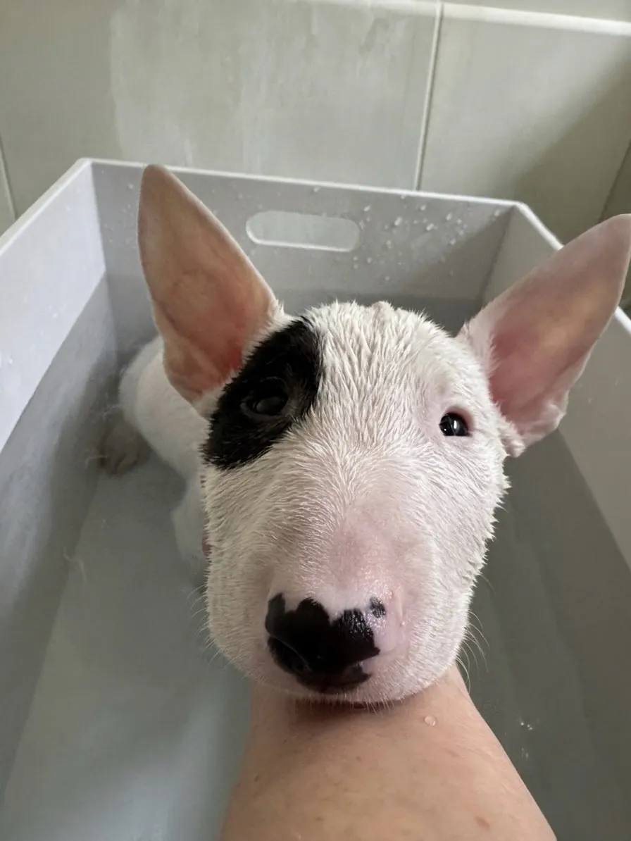 水素浴🛁✨
