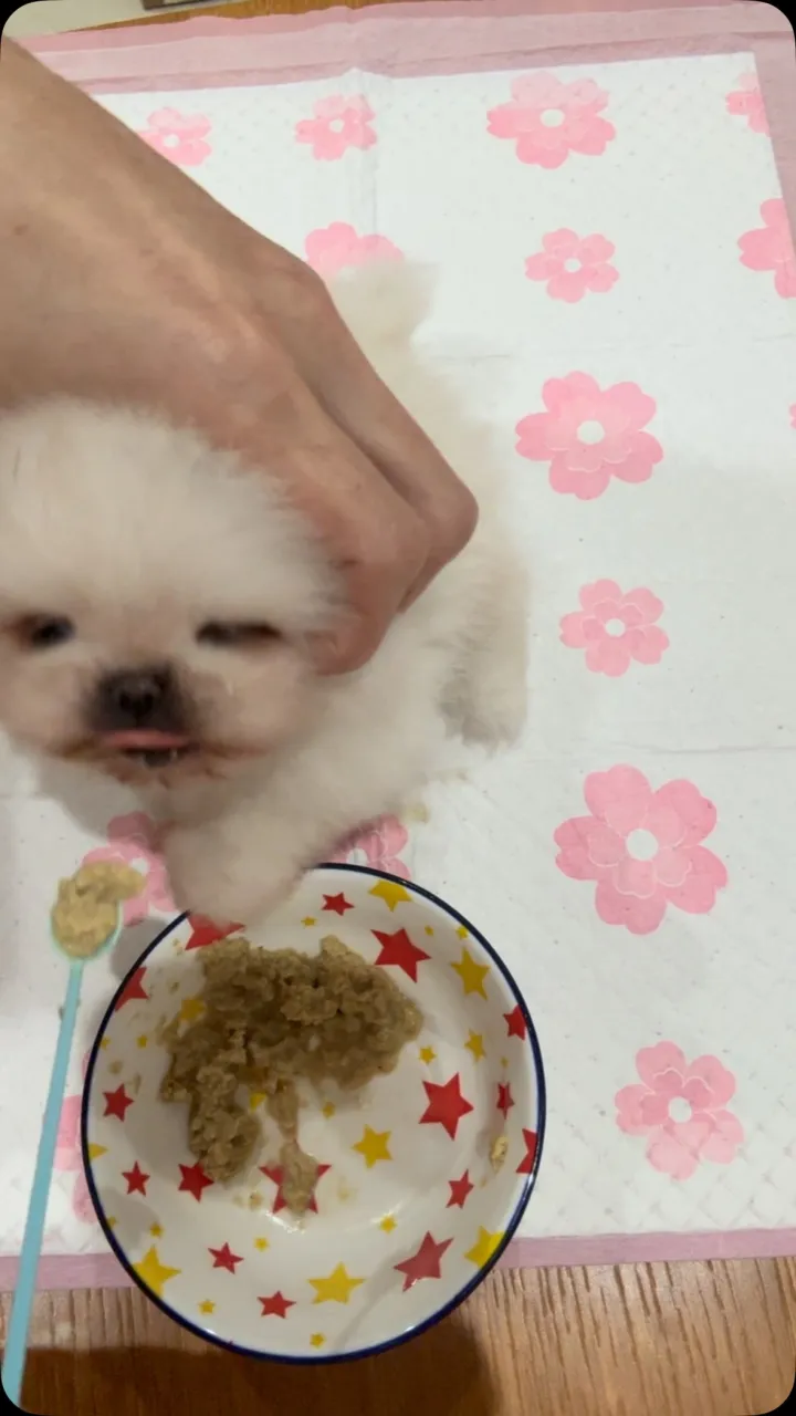 離乳食😋